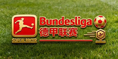 德甲联赛Bundesliga官方合作标识，代表获得德国足球甲级联赛数据授权。